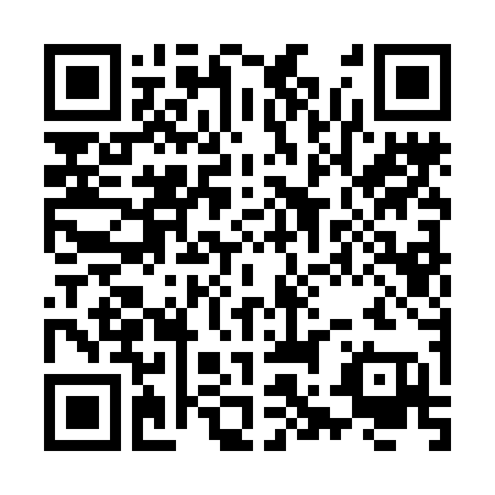 QR Code for Buggy Level.png