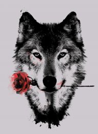 D Wolf