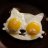 Cats Lay Eggs